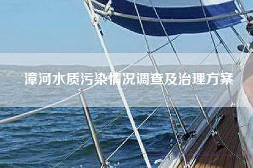 漳河水质污染情况调查及治理方案