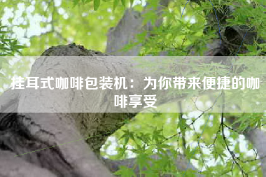 挂耳式咖啡包装机：为你带来便捷的咖啡享受