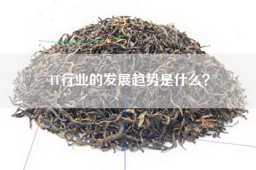 IT行业的发展趋势是什么？