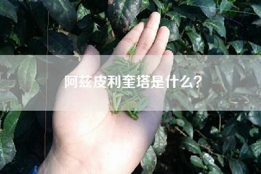 阿兹皮利奎塔是什么？