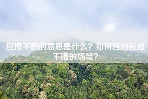 应接不暇的意思是什么？如何应对应接不暇的场景？