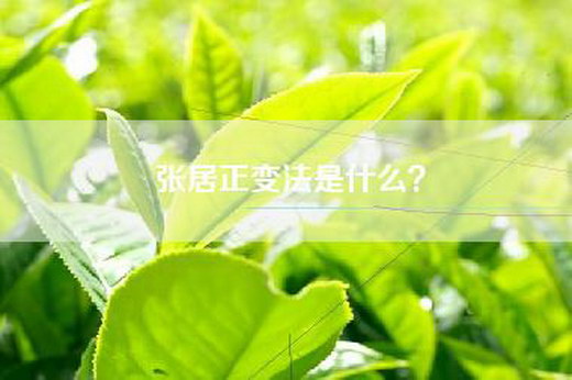 张居正变法是什么？