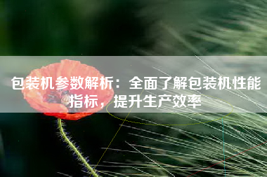 包装机参数解析：全面了解包装机性能指标，提升生产效率