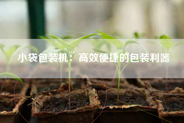 小袋包装机：高效便捷的包装利器