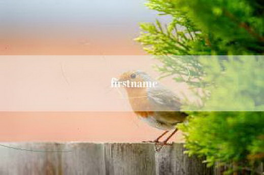 firstname