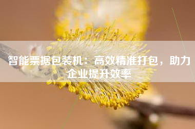 智能票据包装机：高效精准打包，助力企业提升效率