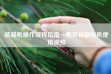 装箱机操作规程指南—集装箱翻转机使用视频