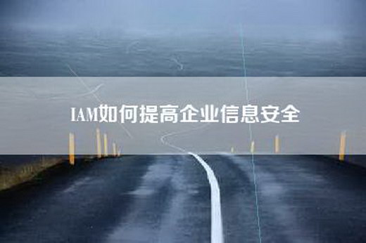 IAM如何提高企业信息安全