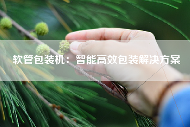 软管包装机：智能高效包装解决方案