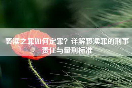 亵渎之罪如何定罪？详解亵渎罪的刑事责任与量刑标准