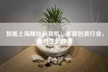 智能上海螺丝包装机：革新包装行业，提升生产效率