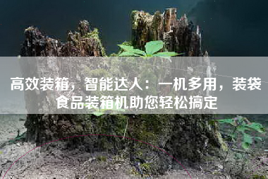 高效装箱，智能达人：一机多用，装袋食品装箱机助您轻松搞定