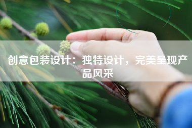 创意包装设计：独特设计，完美呈现产品风采