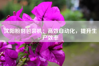 沈阳粉剂包装机：高效自动化，提升生产效率