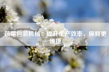 蔬菜包装机械：提升生产效率，保鲜更便捷