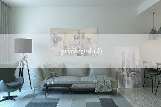 privileged (2)