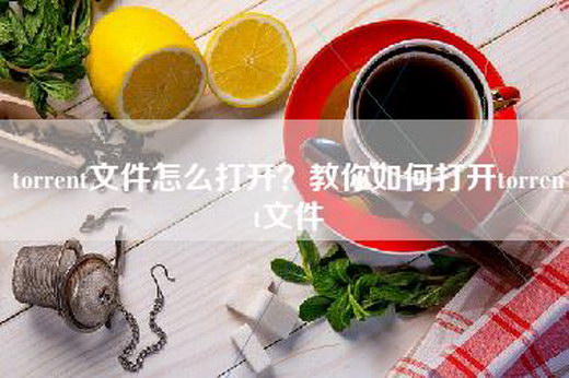 torrent文件怎么打开？教你如何打开torrent文件