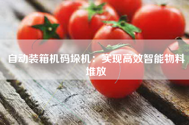 自动装箱机码垛机：实现高效智能物料堆放