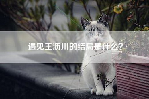 遇见王沥川的结局是什么？