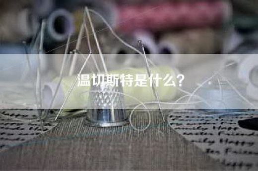 温切斯特是什么？