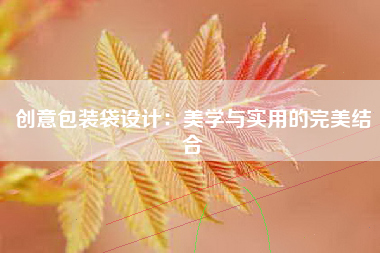 创意包装袋设计：美学与实用的完美结合