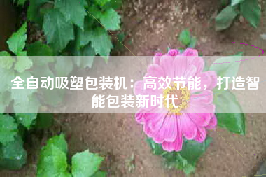 全自动吸塑包装机：高效节能，打造智能包装新时代