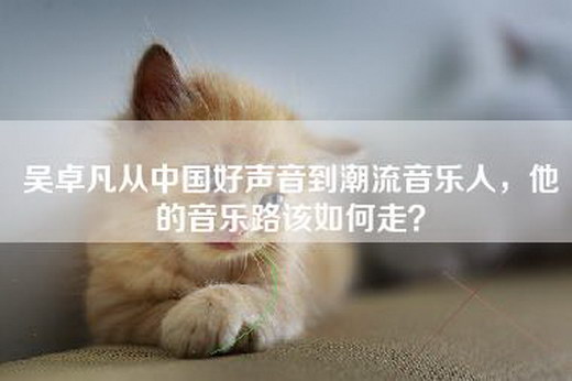 吴卓凡从中国好声音到潮流音乐人，他的音乐路该如何走？