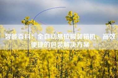 智能百科：全自动易拉罐装箱机，高效便捷的包装解决方案