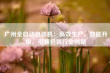 广州全自动包装机：高效生产，智能升级，引领包装行业创新