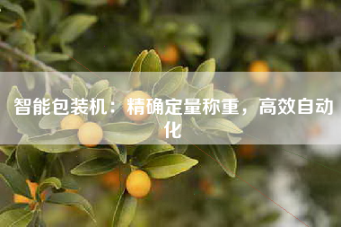 智能包装机：精确定量称重，高效自动化