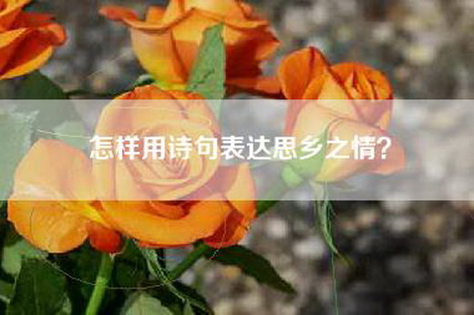 怎样用诗句表达思乡之情？