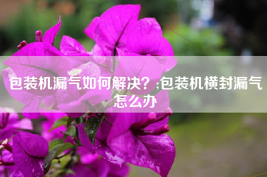 包装机漏气如何解决？;包装机横封漏气怎么办