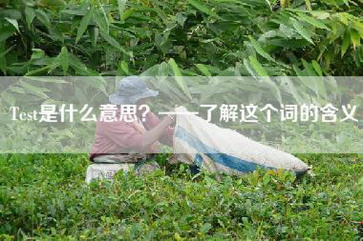 Test是什么意思？——了解这个词的含义