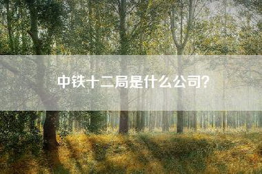 中铁十二局是什么公司？