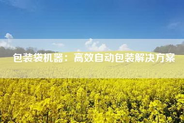 包装袋机器：高效自动包装解决方案