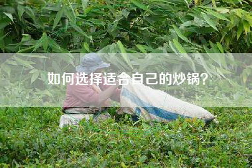 如何选择适合自己的炒锅？