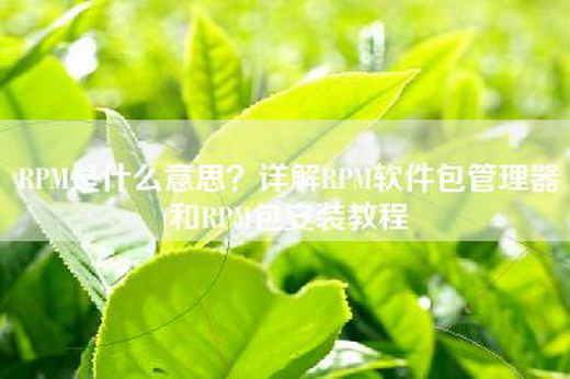 RPM是什么意思？详解RPM软件包管理器和RPM包安装教程