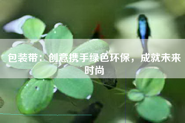 包装带：创意携手绿色环保，成就未来时尚