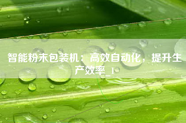 智能粉末包装机：高效自动化，提升生产效率_1