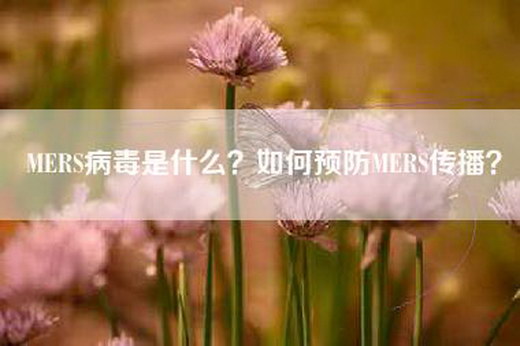 MERS病毒是什么？如何预防MERS传播？