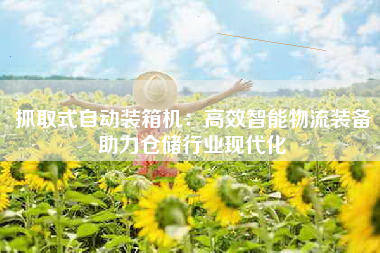 抓取式自动装箱机：高效智能物流装备助力仓储行业现代化