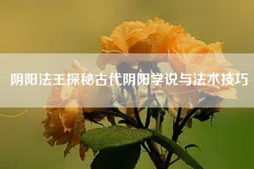 阴阳法王探秘古代阴阳学说与法术技巧