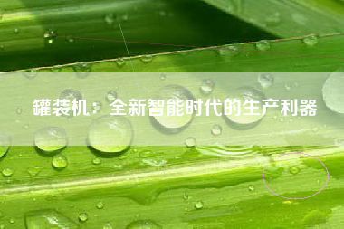 罐装机：全新智能时代的生产利器