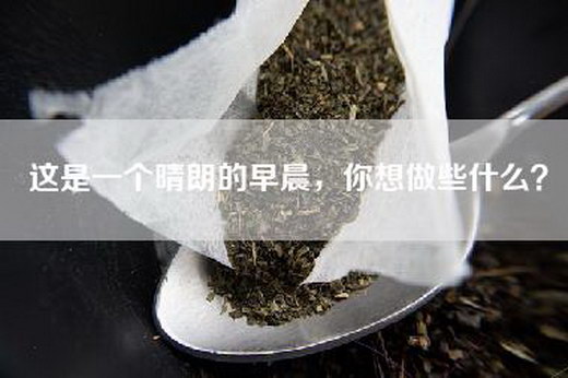 这是一个晴朗的早晨，你想做些什么？