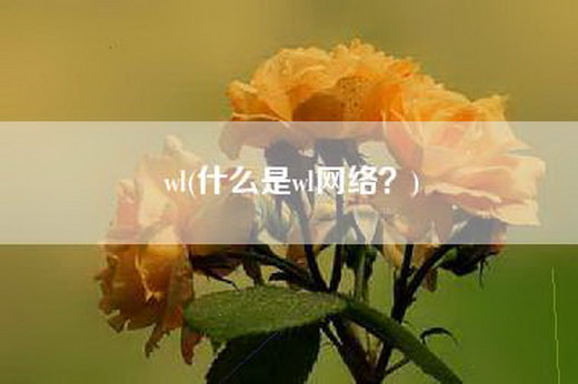 wl(什么是wl网络？)