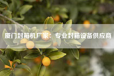 厦门封箱机厂家：专业封箱设备供应商