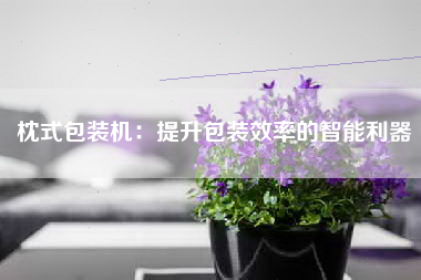 枕式包装机：提升包装效率的智能利器