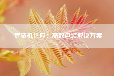 套袋机供应：高效包装解决方案