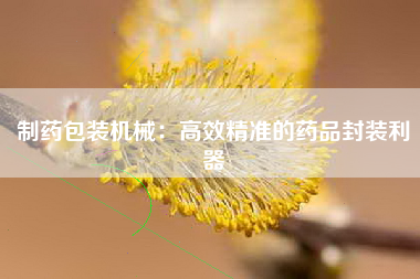 制药包装机械：高效精准的药品封装利器