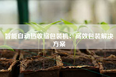 智能自动热收缩包装机：高效包装解决方案